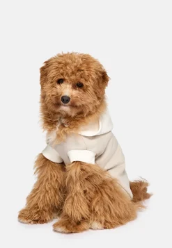 Boggi Milano Sweat-Shirt À Capuche Pour Chien En Coton